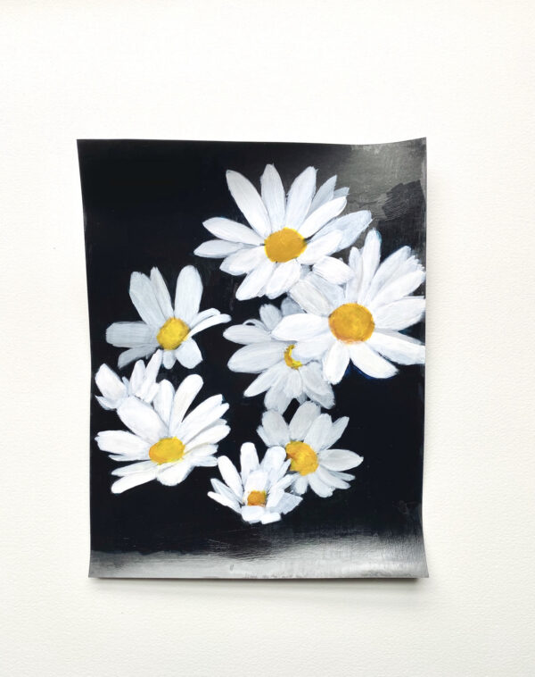 "Because you would pick a Daisy"2