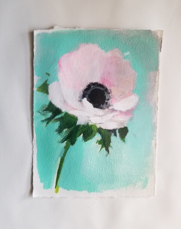 "Anemone Brighten my Day"