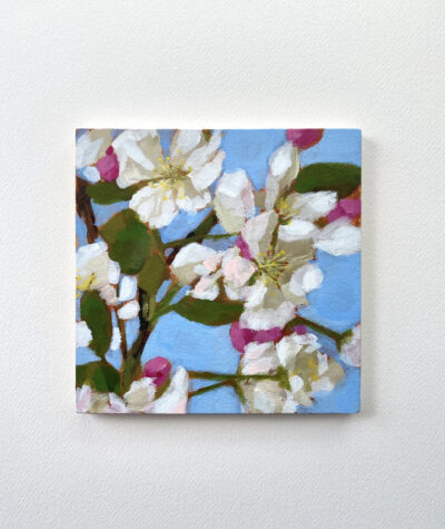 “Cherry Blossoms” 5